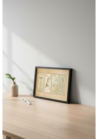 Leonardo Da Vinci Çizimleri Tablo Çerçeveli Vintage Sanat Tablosu Ofis Salon Duvar Dekoru