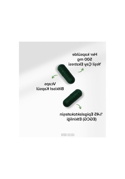 Yeşil Çay Ekstresi İçeren 500 Mg Kapsül - 60 Adet