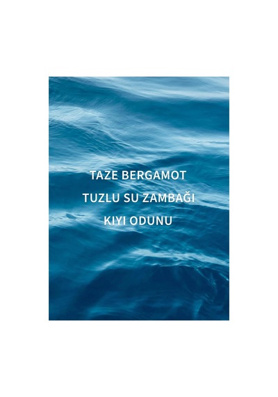 Bath & Body Works Endless Sea Nemlendirici Duş Jeli 295 Ml Diğer