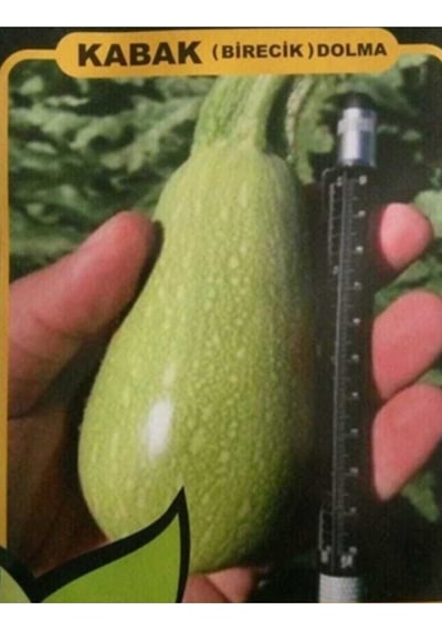 Birecik Dolmalık Kabak Tohumu 20 Adet
