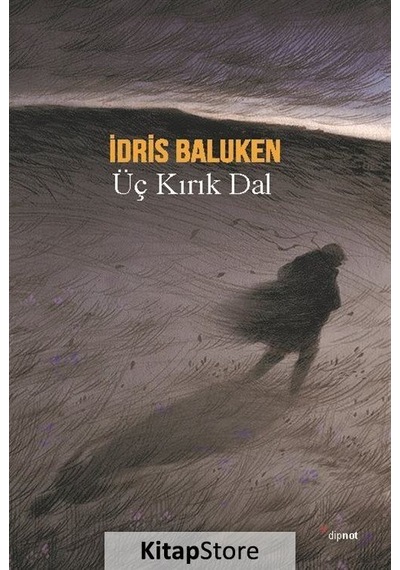 Kitapstore Üç Kırık Dal - Idris Baluken