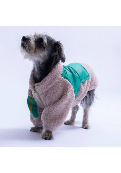 Bej Bergen Outdoor Ceket Kedi Köpek Ceketi Kalın Fermuarlı Kedi Köpek Kıyafeti Kedi Köpek Elbisesi Bej Bergen Outdoor Ceket Kedi Köpek Ceketi Kalın Fermuarlı Kedi Köpek Kıyafeti Kedi Köpek Elbisesi