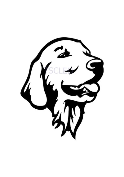 Golden Retriever Köpek Araba Çıkartmalar Sticker
