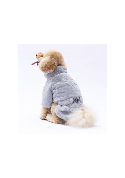 Pawstar Gri Paris Ceket Küçük Ve Orta Irk Ceket