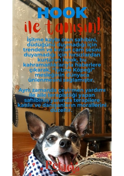 Petjoo 7.Hook Kırmızı-Mavi Qr'lı Köpek Künyesi