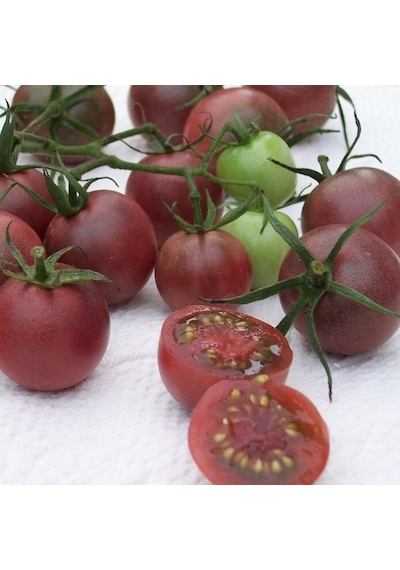 Çikolata Cherry Domates Tohumu 15 Tohum