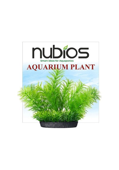 Nubios Plastik Bitki Kare Tabanlı Tekli Karton 10 Cm 219-59013.01