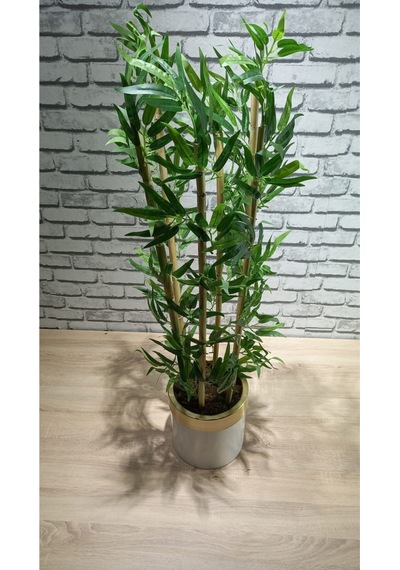 120 Cm Darbuka Saksıda Bambu 6 Dal Yeşil