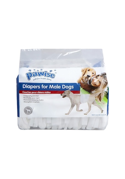 Pawise Kullan At Erkek Köpek Alt Bezi S 12'li