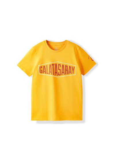 Gsstore Galatasaray Çocuk T-shirt C252097 Sarı