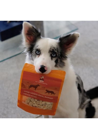 Freeze Dried Hindi Göğüs Köpek Ödül Maması%100 Doğal, Glutensiz 30 Gr Dog Treat