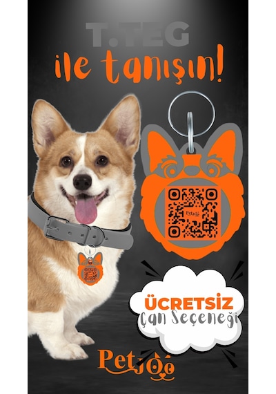 Petjoo 15.T.Teg Turuncu-Gri Qr'lı Köpek Künyesi