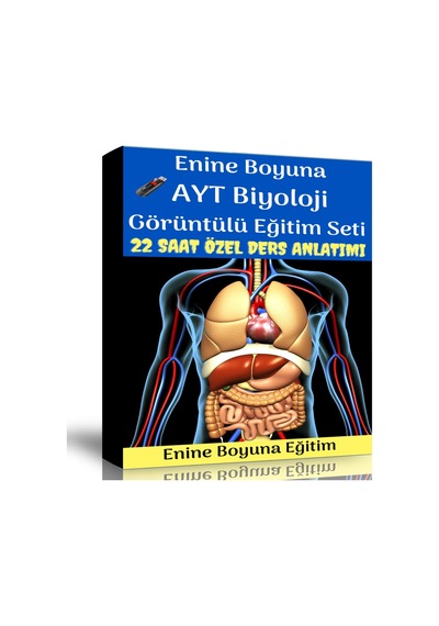 Ayt Biyoloji Görüntülü Eğitim Seti 22 Saat Özel Ders Anlatımı