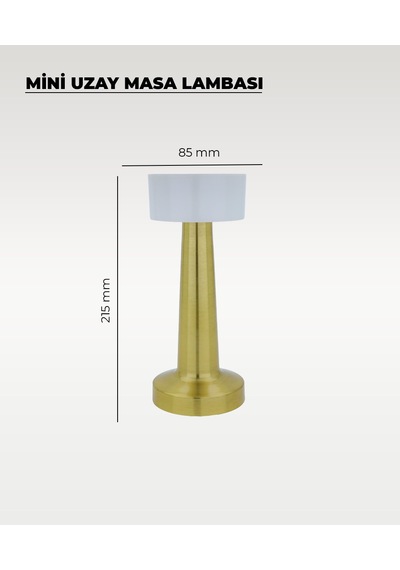 Gold Mini Uzay Masa Lambası - Dokunmatik - 3 Renk Işık Rose