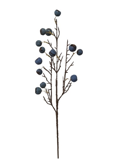 Pasabahce Fruit 68 Cm Mavi - 1 Adet