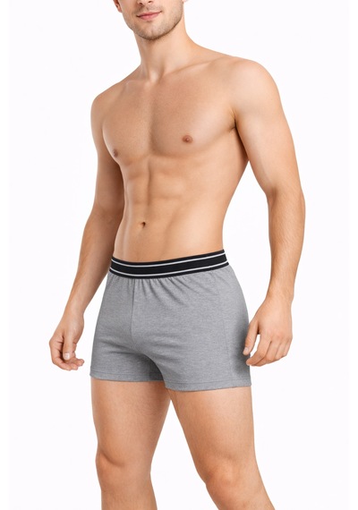 Maxi-dry Erkek Boxer Aşırı Terleme Önleyici Çift Katmanlı, Islaklık Sızdırmaz, Nefes Alabilen Iç Giyim Gri