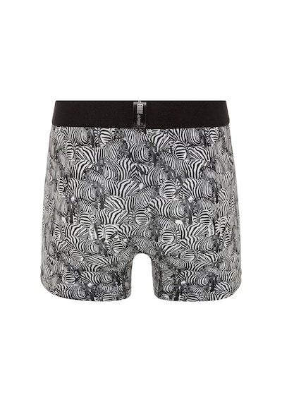 Farm Animals Zebra Desenli Boxer