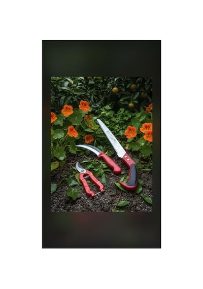 3'lü Profesyonel Bahçe Seti: 45cm Testere, Ot Testeresi, Budama Makası - Güçlü Ve Kullanışlı Yz-1