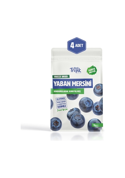 Dondurularak Kurutulmuş Yaban Mersini 18 G Freeze Dried Meyve Cipsi Çıtır Meyve Kurusu 4 Adet