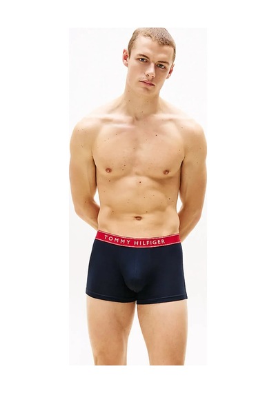 Tommy Hilfiger Erkek Boxer Um0um034570wf Lacivert