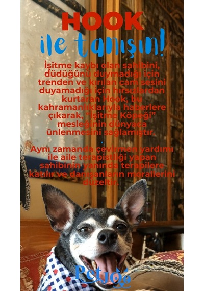 Petjoo 7.Hook Mavi-Kırmızı Qr'lı Köpek Künyesi