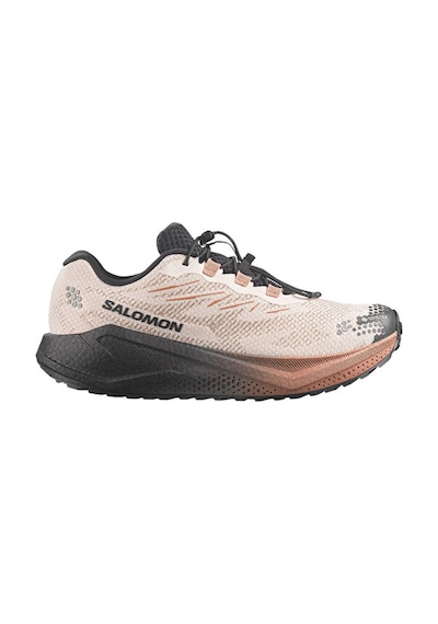 Salomon Aero Blaze 4 Grvl Gtx Erkek Outdoor Koşu Ayakkabısı L45403200 Bej