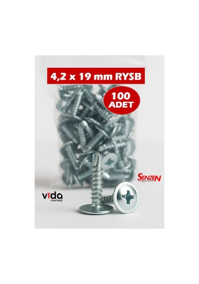 4,2x19 Rysb Pul Başlı Matkap Uçlu Vida 100'lü 1