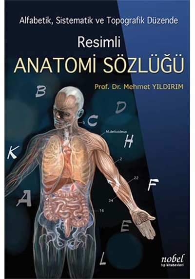 Resimli Anatomi Sözlüğü N11.423