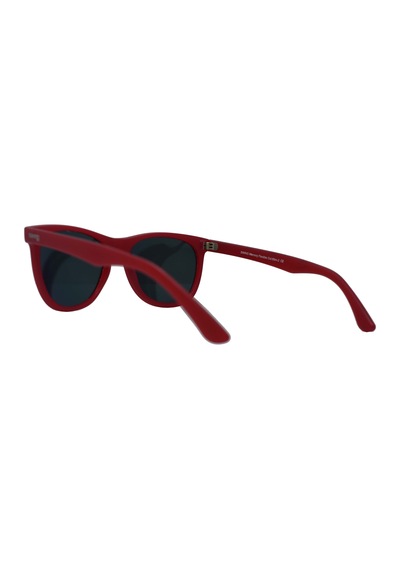 Swing Swing Kadın Güneş Gözlüğü Ss133 C69M-2