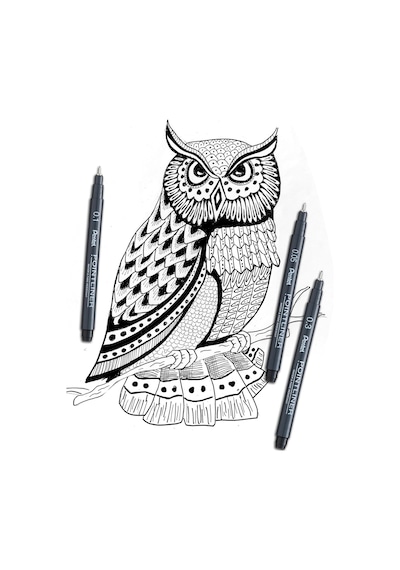 Pentel Pointliner S20p-3a, Fineliner, Siyah, Suya Dayanıklı Ve Solmaz, 0,3 Mm