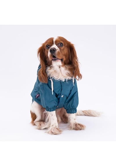 Pettrend Petrol Mont Köpek Mont Küçük Büyük Irk Köpek Yağmurluğu
