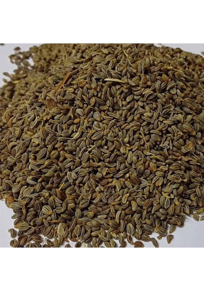 1000 GR Maydanoz Tohumu