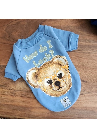 Miniş How Do I Look Blue Teddy Küçük Köpek Pamuklu Sweatshirt-21630