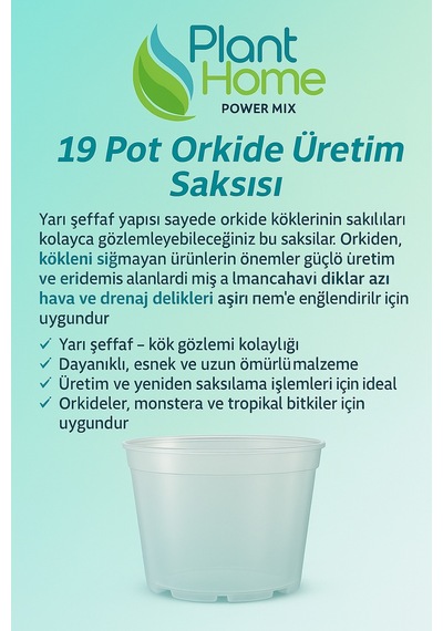 19 Pot Orkide Üretim Saksısı - Köklü Tropikal Bitkiler İçin Özel Üretim Saksısı