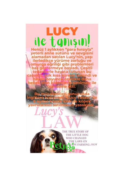 Petjoo 11.Lucy Yeşil-Turuncu Qr'lı Köpek Künyesi