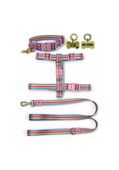 Tr Köpek Tasma Seti, Gökkuşağı Renkli, Polyester, H Tipi Gövde Tasması, Boyun Tasması, Gezdirme Kayışı Ve Ki Genel