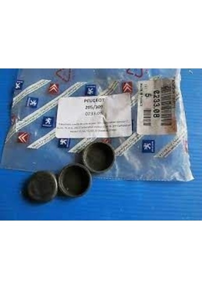 PEUGEOT 0233.08 Silindir Kapak Tapası 206 207 1.4 1.6 16V Su