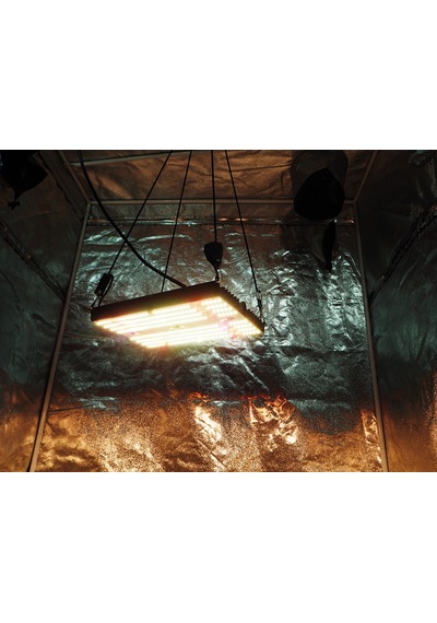 Cannalight 120w Quantum Board Bitki Yetiştirme Lambası