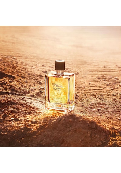 Hermes Terre D'Hermes Erkek Parfüm EDT 200 ML