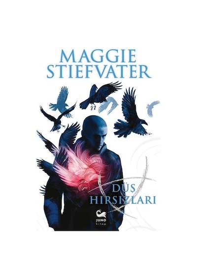 Düş Hırsızları / Maggie Stiefvater
