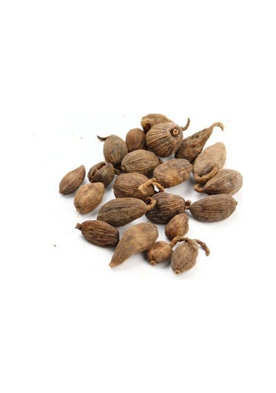 Lanxangia Tsaoko Lanxangia Tsaoko 100G