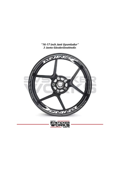 Bajaj Dominar Jant Sticker Dış Ve İç Set Sticker Jant Şeridi Gri