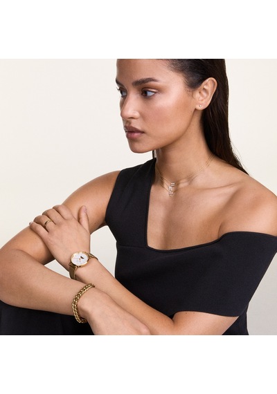 Daniel Wellington Dw00400920 Kadın Kolye Diğer