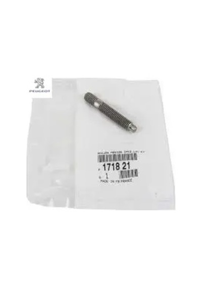 Egsoz Saplamasi Peugeot 1718.21