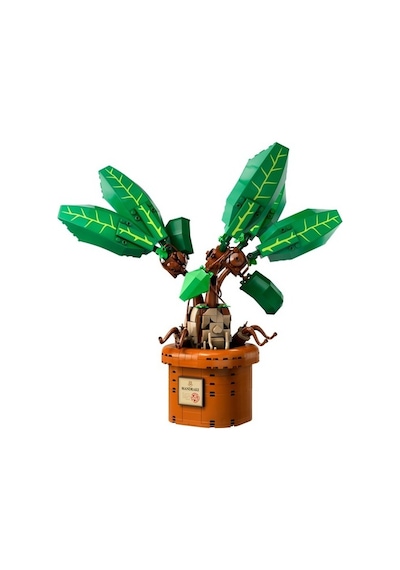 LEGO® Harry Potter 76433 Adamotu 579 Parça