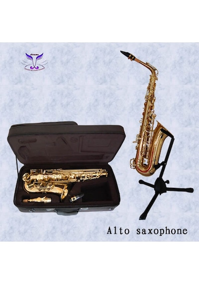 Bonson Xal1001 Gold Alto Saksafon Seti