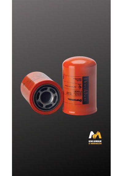 Donaldson P164381hidrolik Filtre