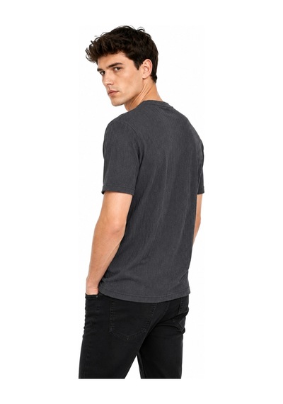 Raymons Erkek Sıfıryaka Triko Tişört Regular Kalıp Bgl-st05566 Füme