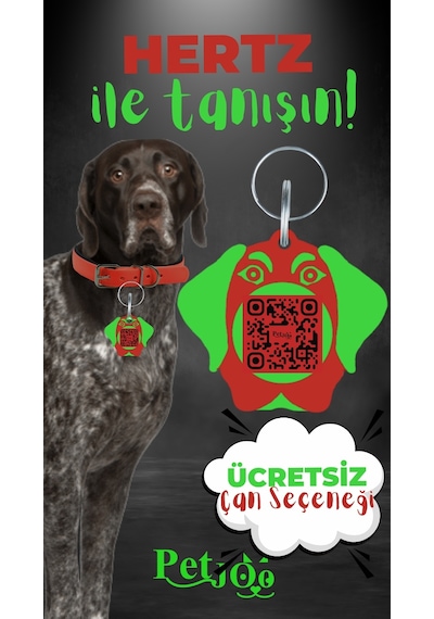 Petjoo 26.Hertz Yeşil-Kırmızı Qr'lı Köpek Künyesi