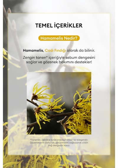 Missha A'PIEU Hamamelis Sheet Mask Yağlanma ve Gözenek Karşıtı Kağıt Maske